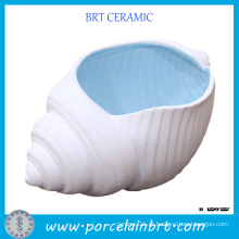 Produto quente Delicate Conch Shell Tabela Cinzeiro